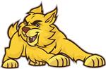 Lynx logo 