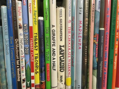 Image of Rattlesnake Elementary Library Books 