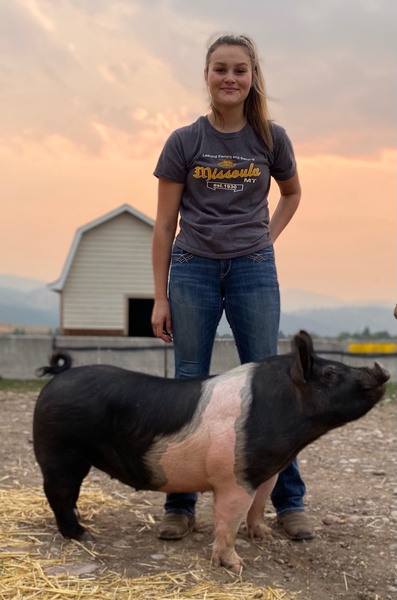 Ag Ed student with a pig and sunset in the background