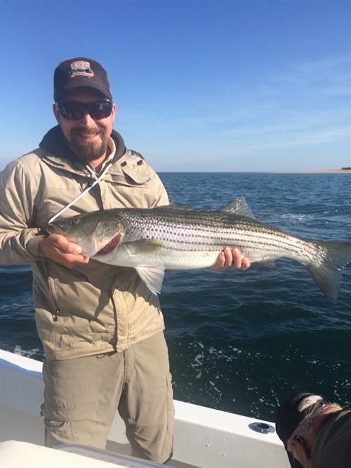 Mr. Connelly Holding a Striped Bass 