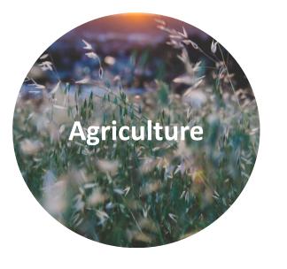 Agriculture 