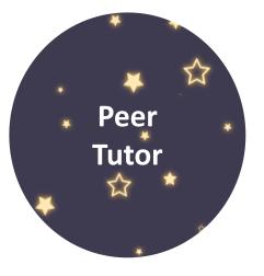 Peer Tutor 