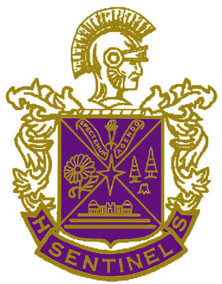 Sentinel Logo