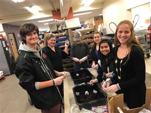 Foodbank Volunteers 