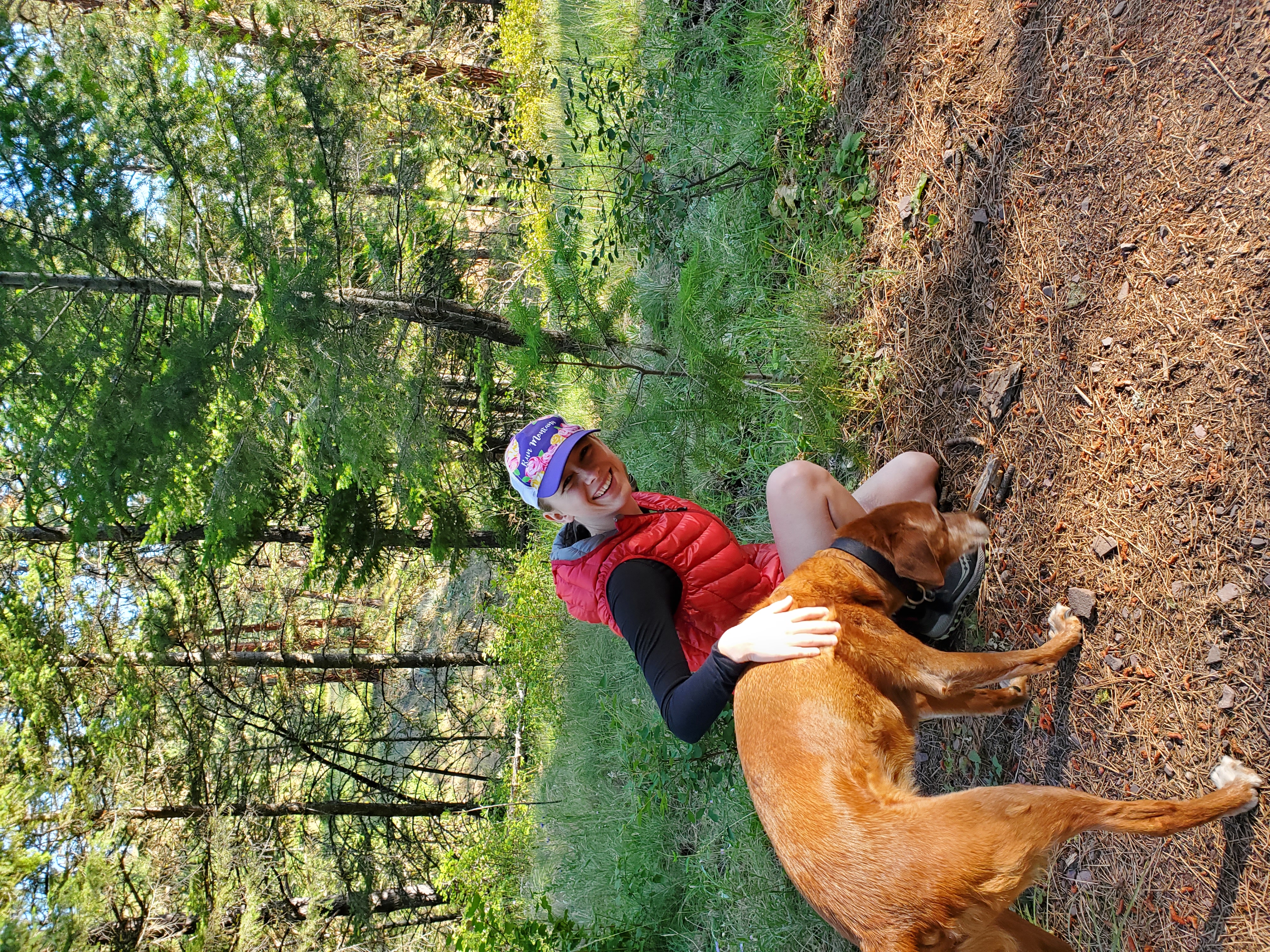 Hiking with a friend's dog Hiking with a friend's dog