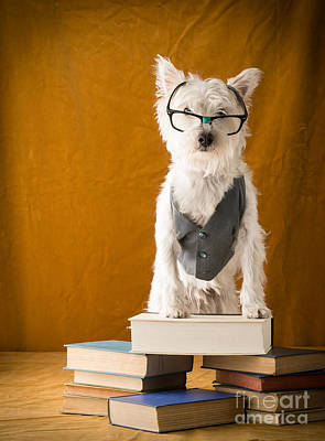Dog with Books