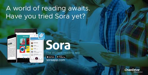 Sora Ebooks and Audiobooks 