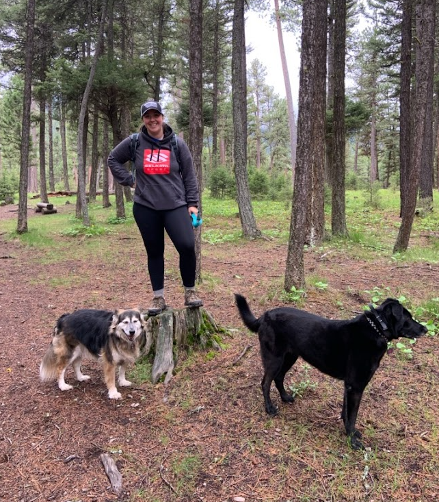 Hiking with dogs