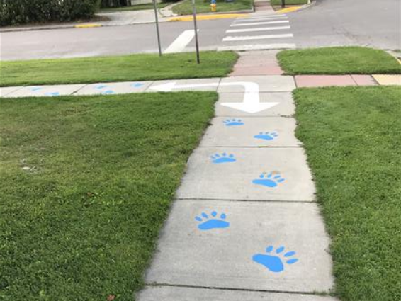 Panther Paws to and from bus zone